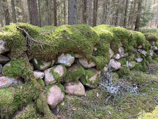 Charmig lantlig stuga med air condition. - Bild 32