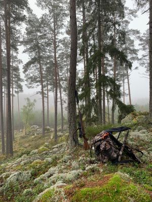 Charmig lantlig stuga med air condition. - Bild 37