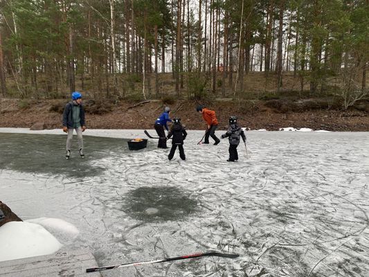 Charmig lantlig stuga med air condition. - Bild 26