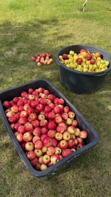 Charmig lantlig stuga med air condition. - Bild 36