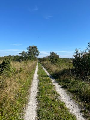 Välkommen till lägenhet C! - Bild 36