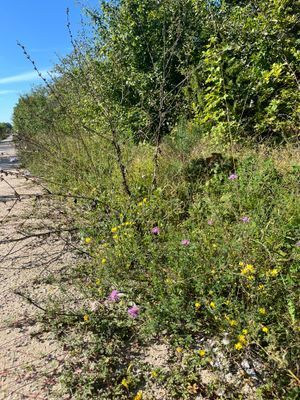 Välkommen till lägenhet C! - Bild 35