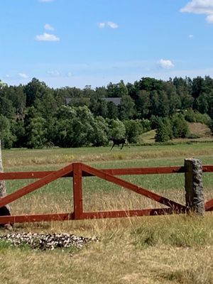 Charmig lantlig stuga med air condition. - Bild 34