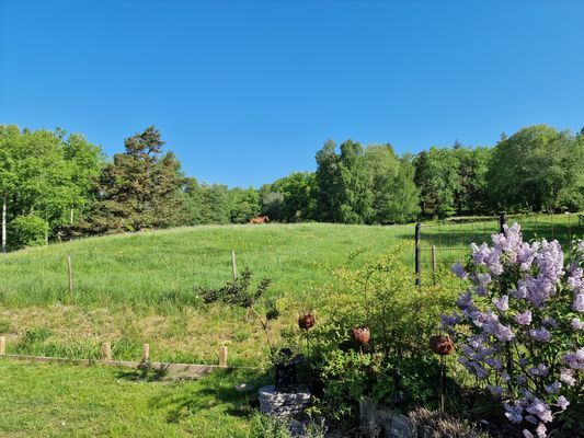 Kombinera Stockholm och njut av naturen - Bild 6