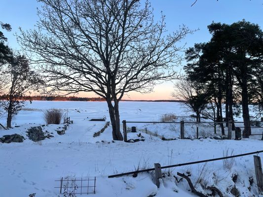 Drömboende med strand och brygga intill Kalmarsund - Bild 24