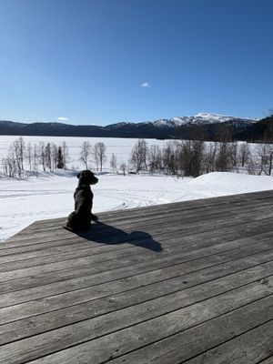 Mysig stuga i Ankarvattnet, Vildmarksvägen - Bild 11