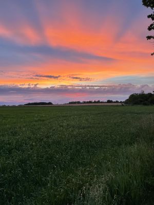Hyr denna stuga i Fårösund på 120 m². 5 sängplatser. Pris ej tillgängligt. Se bilder och tillgänglighet här.