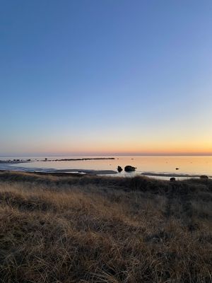 Rymligt stuga 150 m från barnvänlig sandstrand - Bild 8