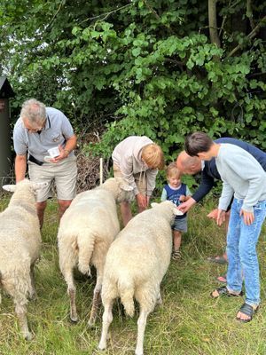 GRÖNA KRUSBÄRSSTÄLLET - Nytt bekvämt hus med charm - Bild 14