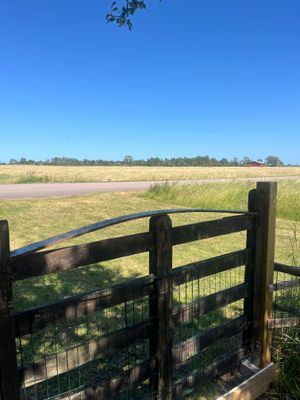 Semesterstuga på fantastiska Öland! - Bild 17