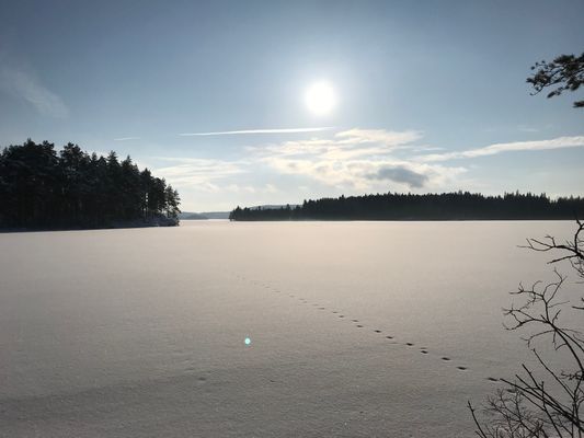 Semesterhuset vid Älgsjön "Stora älg" - Bild 17
