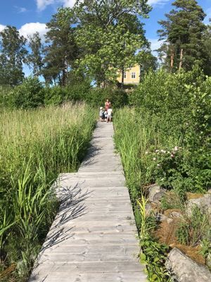 Spång ut mot bastu