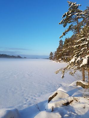 Semesterhuset vid Älgsjön "Stora älg" - Bild 16