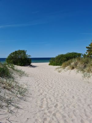 Strandnära studio Gotlands Tofta - Bild 11