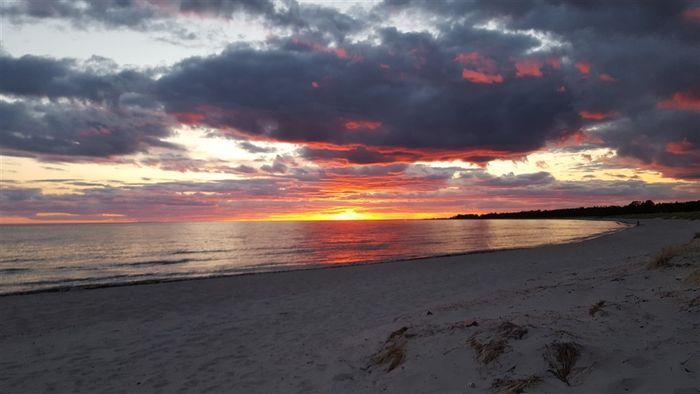 Strandnära studio Gotlands Tofta - Bild 12