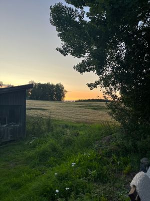 Lantlig pärla med bastu, spabad och naturnära läge - Bild 84