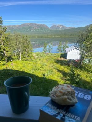 Stuga med fjäll- och sjöutsikt, bastu, och kamin - Bild 21