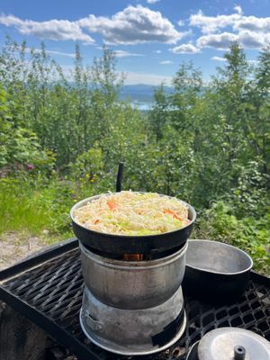 Stuga med fjäll- och sjöutsikt, bastu, och kamin - Bild 35