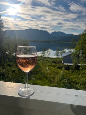 Stuga med fjäll- och sjöutsikt, bastu, och kamin - Bild 19