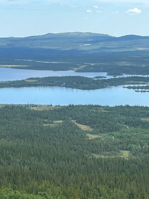 Stuga med fjäll- och sjöutsikt, bastu, och kamin - Bild 29