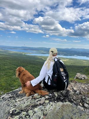 Stuga med fjäll- och sjöutsikt, bastu, och kamin - Bild 30