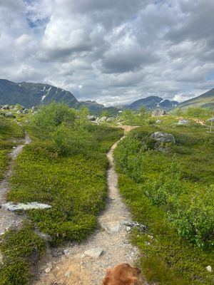 Stuga med fjäll- och sjöutsikt, bastu, och kamin - Bild 31