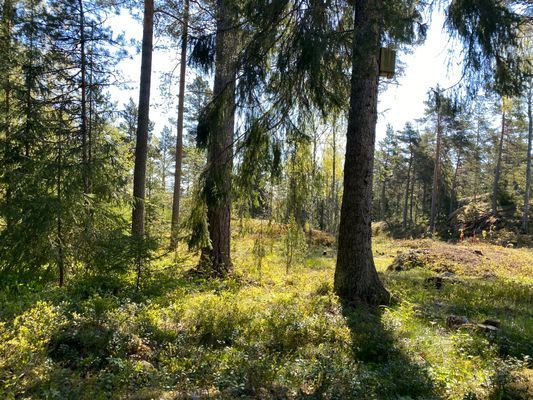 Skärgårdsidyll nära Stockholm – natur och hav! - Bild 40