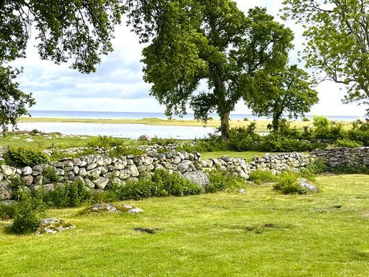 Havsläge på Sudret Gotland - Bild 13