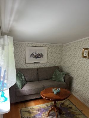 Stuga vid sjön Haggen - Bild 11