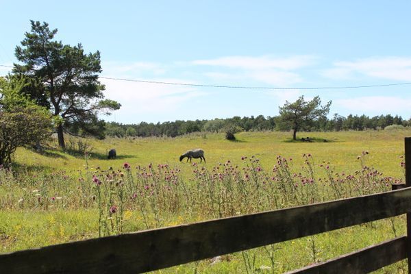 Hyr denna stuga i Rute på 40 m². 3-4 sängplatser. 9 000 - 11 000 kr per vecka. Se bilder och tillgänglighet här.