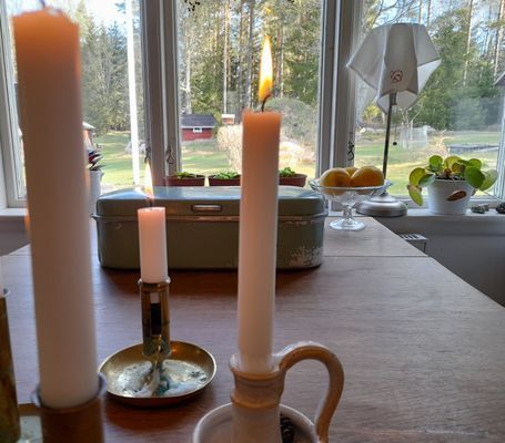 Stuga med härligt läge omgärdad av skog nära badsj - Bild 7