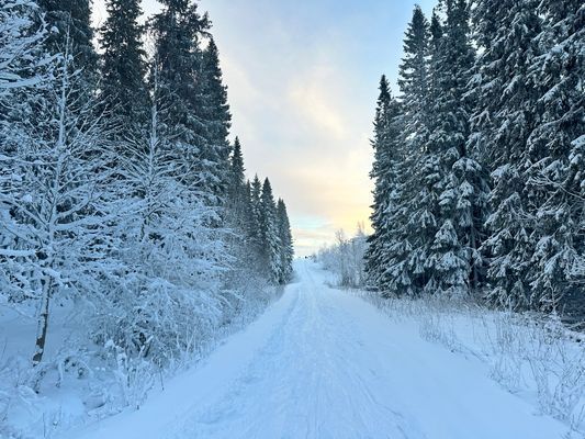 Ski in Ski out högst upp i Duved - Bild 32