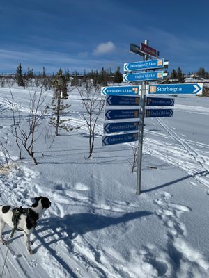 Välkommen till Storhogna Torg - Bild 25
