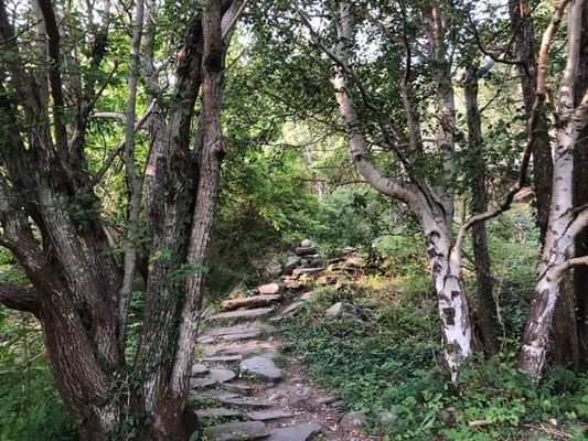 Västkustpärla - Bild 8