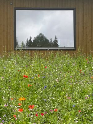 Vackert, ostört beläget hus i Roslagen - Bild 9