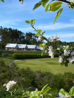 Andelshus med fantastisk vy över Djupadal golfbana - Bild 1