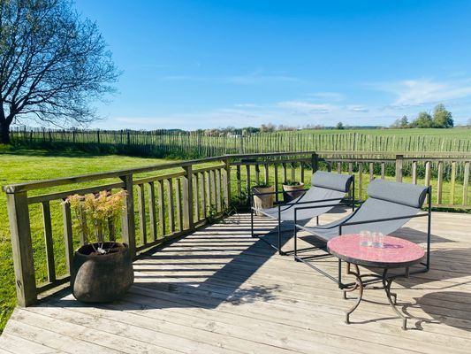 Underbart gästhus med lantligt läge - Bild 10