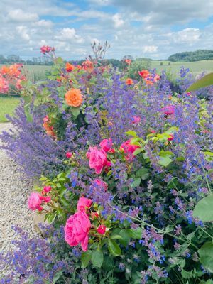 Underbart gästhus med lantligt läge - Bild 21