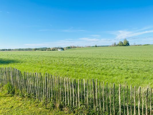 Underbart gästhus med lantligt läge - Bild 18
