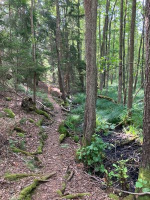 Stuga nära havet - Bild 10