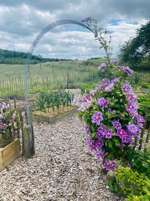 Underbart gästhus med lantligt läge - Bild 22