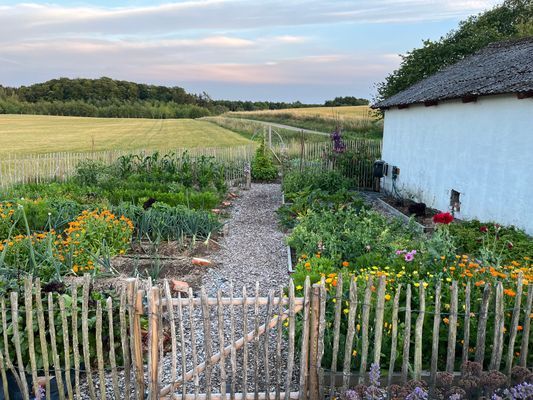 Underbart gästhus med lantligt läge - Bild 19