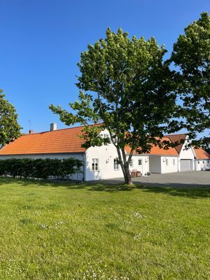 Lägenhet på Äppelgård utanför Kivik, Österlen - Bild 11