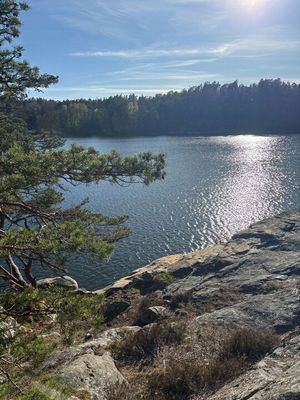 Fräsch nyrenoverad stuga nära havet - Ingarö - Bild 10