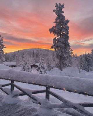 Genuine fjällstuga m öppenspis & bastu - Bild 7