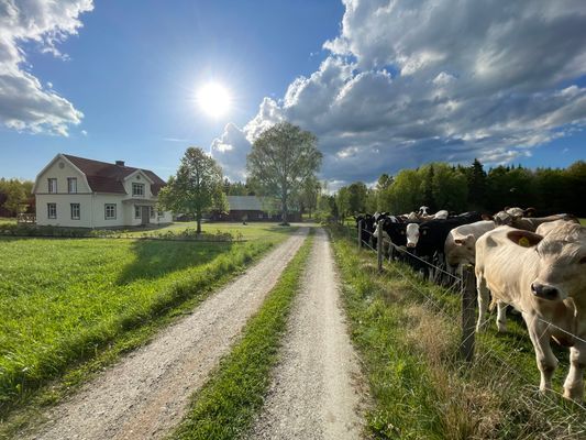 Hyr denna stuga i  på 163 m². 12 sängplatser. 2 000 - 2 300 kr per dag. Se bilder och tillgänglighet här.