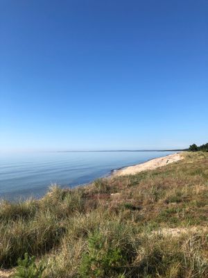 Milsvid Vit sandstrand
