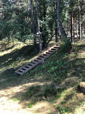 Vägen ned till stranden