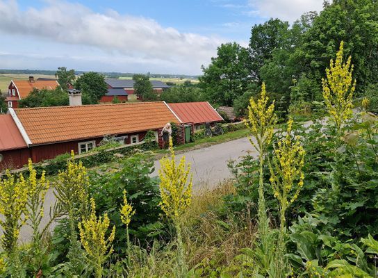 Hyr denna stuga i Eriksöre på 80 m². 4 sängplatser. 11 000 - 12 500 kr per vecka. Se bilder och tillgänglighet här.
