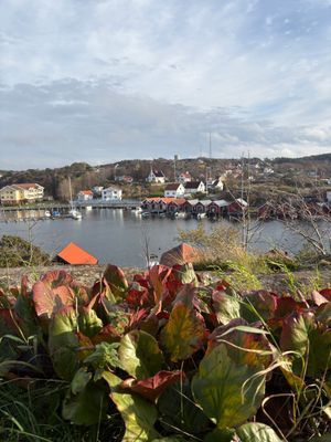 Uthyres stuga Hamburgö på Sveriges västkust - Bild 39